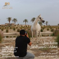 ورشة عمل بعنوان (مهارات تصوير الخيل) ينظمها «بيت العرب» بالكويت