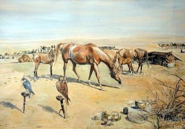 فضل الخيول العربية على سلالات الخيل البريطانية عبر التاريخ