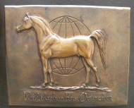 فجر الشمال.. تتوج بدرع الأبطال