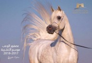 (بيت العرب) يعلن عن توفر شبوات مجمدة للفحل (عصفور الوعب)