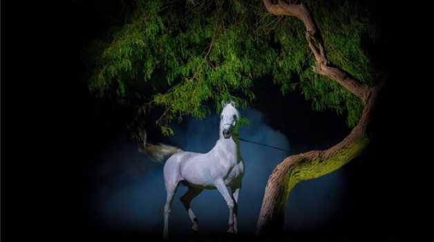 تكريم الفائزين بمسابقة «بيت العرب» للتصوير الفوتوغرافي 2017 وإقامة محاضرة بعنوان (تصوير الخيل العربية)