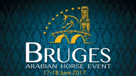 «عجمان» و«البيداء» و«المي» أبطال (بروج الدولية) لجمال الخيل العربية 2017 – النتائج النهائية