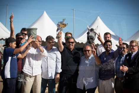 صور مقتطفة لليوم الأول من بطولة منتون ٢٠١٧ الدولية لجمال الخيل العربية الأصيلة