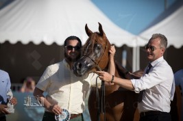 «عذبه» و «السيد» يسجلان أعلى درجات (منتون الدولية) لجمال الخيل العربية 2017 في يومها الأول – النتائج