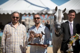 (عذبه) و(الجاسمية) و(البداير) و(العالية) و(الشقب) أبطال الذهب بـ(منتون ٢٠١٧) لجمال الخيل العربية – النتائج النهائية والصور