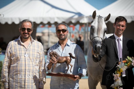 (عذبه) و(الجاسمية) و(البداير) و(العالية) و(الشقب) أبطال الذهب بـ(منتون ٢٠١٧) لجمال الخيل العربية – النتائج النهائية والصور