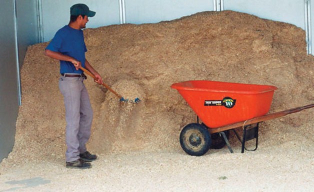 دراسة: في إمكان “نشارة الخشب” تحسين نوعية تربة بادوك التدريب