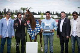 اختتام بطولة المربين الأوروبيين لجمال الخيل العربية 2017 بفرنسا – النتائج النهائية