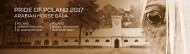 اليوم.. مزاد فخر بولندا 2017 – قائمة الخيل المعروضة