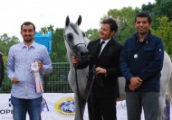 «الشقب» و«البداير» و«دبي» ابطال (براغ) الدولية لجمال الخيل العربية 2017 بجمهورية التشيك – النتائج النهائية