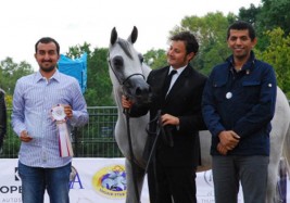 «الشقب» و«البداير» و«دبي» ابطال (براغ) الدولية لجمال الخيل العربية 2017 بجمهورية التشيك – النتائج النهائية