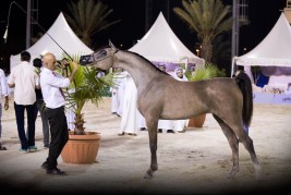 انطلاق بطولة الإنتاج المحلي السادسة بالطائف– نتائج فئات اليوم الأول