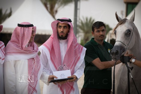 تواصل منافسات بطولة الإنتاج المحلي السادسة بالطائف في يومها الثاني– نتائج الفئات