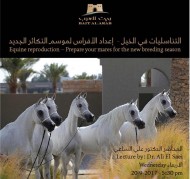 بيت العرب يقيم محاضرة بعنوان (التناسليات في الخيل – إعداد الفرس لموسم التكاثر الجديد)