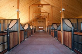 بناء اسطبل الخيول (التصميم والسلامة والصحة)