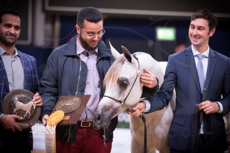 «السيد» و«دبي» يتسيدان اليوم الأول لـ(كأس كل الأمم) 2017 بأعلى الدرجات– نتائج الفئات