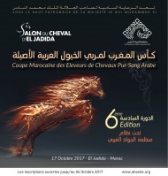 برعاية ملك المغرب: منظمة الجواد العربي تستعد لتنظيم دورتها السادسة لكأس المغرب لمربي الخيول العربية