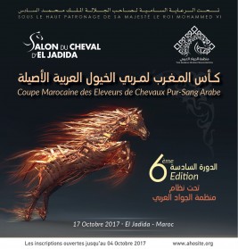 برعاية ملك المغرب: منظمة الجواد العربي تستعد لتنظيم دورتها السادسة لكأس المغرب لمربي الخيول العربية