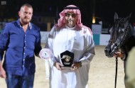مربط عذبة يحقق فضية وبرونزيه في بطولة رباب الدولية لجمال الخيل العربية الأصيلة ٢٠١٧ بمصر