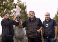 «الخشاب» و«البداير» و«الشحانية» و«النايفات» ابطال (دوفيل ٢٠١٧) لجمال الخيل العربية الأصيلة