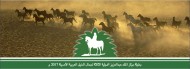 تدشين الموقع الرسمي لبطولة مركز الملك عبدالعزيز الدولية الثالثة لجمال الخيل العربية الأصيلة لعام ٢٠١٧م