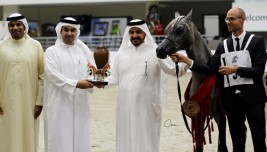 (الزبير) و(دبي) أبطال (السلالة المصرية) في النسخة الـ11 من بطولة الشارقة – النتائج النهائية