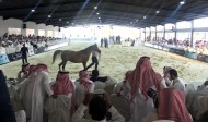 نجاح مبهر لمزاد مربط المعود ٢٠١٧ بمبيعات فاقت الـ ٥ ملايين ريال