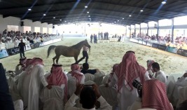 نجاح مبهر لمزاد مربط المعود ٢٠١٧ بمبيعات فاقت الـ ٥ ملايين ريال