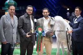 «السيد» و«الزبير» و«البداير»  يتألقون في أول أيام بطولة العالم باريس 2017 لجمال الخيل العربية – النتائج