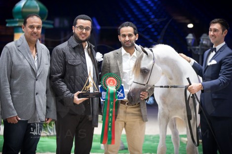 «السيد» و«الزبير» و«البداير» يتألقون في أول أيام بطولة العالم باريس 2017 لجمال الخيل العربية – النتائج
