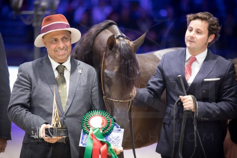 «الشقب» يحقق أعلى درجات البطولة و«السيد» يواصل سيطرته لليوم الثاني على التوالي في (باريس 2017) – النتائج