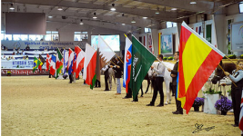 النتائج المصورة النهائية لبطولة “كل الأمم” آخن ٢٠١١