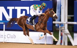 بطولة بني ياس تقص شريط موسم السرعة لـ«الجواد العربي» اليوم