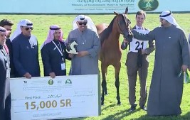 «رشيدية الخشاب» تتصدر فئتها وتتطلع لنيل ذهب بطولة مركز الملك عبدالعزيز ٢٠١٧ لجمال الخيل العربية