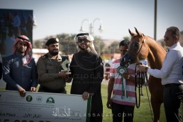 (السيد) و(الخالدية) يحققان أعلى درجات اليوم الثاني في بطولة مركز الملك عبدالعزيز الدولية 2017 لجمال الخيل العربية – نتائج الفئات