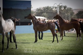 بطولة تحمل اسم المؤسس .. كان من الأفضل أن تظهر بشكل نفخر به جميعاً ..!