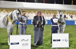 اختتام بطولة الخيل سعودية الأصل والمنشأ بمركز الملك عبدالعزيز للخيل العربية الأصيلة بديراب