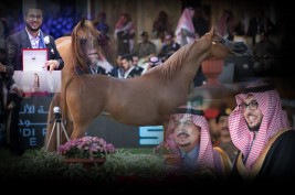 «ديلايتس ديفاه آر بي».. موسم زاخر بالإنجازات .. وأكثر  من ١٤ لقب في ٥ سنوات