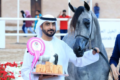 اختتام النسخة الثالثة من بطولة الفجيرة لجمال الخيل العربية – النتائج النهائية
