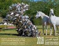 «بيت العرب» يعلن عن بدء التسجيل في البطولة الدولية السابعة لجمال الخيل العربية بالكويت ٢٠١٨