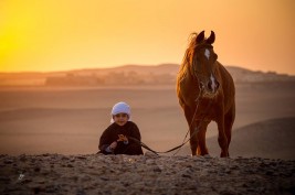 لغة الجسد لدى الخيول والتفاعلات البشرية