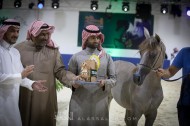 صور مقتطفة من بطولة الرياض ٢٠١٨ لجمال الخيل العربية الأصيلة