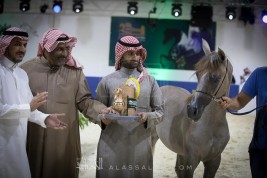 صور مقتطفة من بطولة الرياض ٢٠١٨ لجمال الخيل العربية الأصيلة
