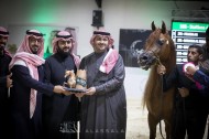 صور مقتطفة من اليوم الثاني من بطولة الرياض ٢٠١٨ لجمال الخيل العربية الأصيلة