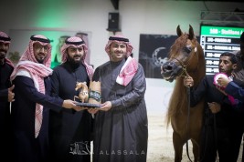 صور مقتطفة من اليوم الثاني من بطولة الرياض ٢٠١٨ لجمال الخيل العربية الأصيلة