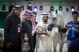 تواصل منافسات الفئات لبطولة الرياض لجمال الخيل العربية 2018 في يومها الثاني – نتائج الفئات