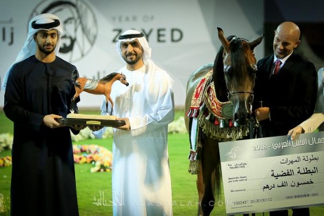 «الزبير» يتألق ويظفر بنصف ذهب (عجمان 2018) مع «البداير» و «دبي» و «الأريام» – النتائج النهائية والصور