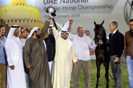 «الصقران» يحلق بذهب الأفراس ببطولة (الإمارات الوطنية) لجمال الخيل العربية 2018 – النتائج النهائية للبطولة الوطنية المحلية للمواطنين