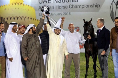 «الصقران» يحلق بذهب الأفراس ببطولة (الإمارات الوطنية) لجمال الخيل العربية 2018 – النتائج النهائية للبطولة الوطنية المحلية للمواطنين