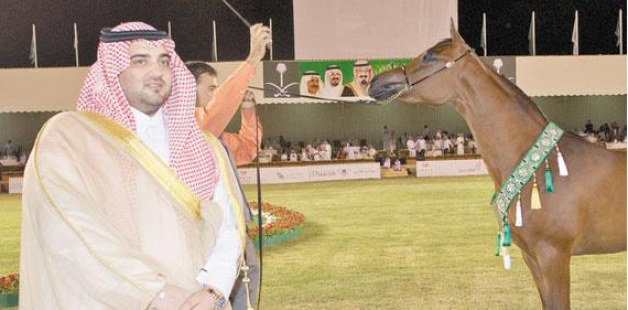 محمد بن سعود يتكفل بجوائز بطولة مكة لجمال الخيل
